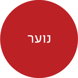 ספרי נוער