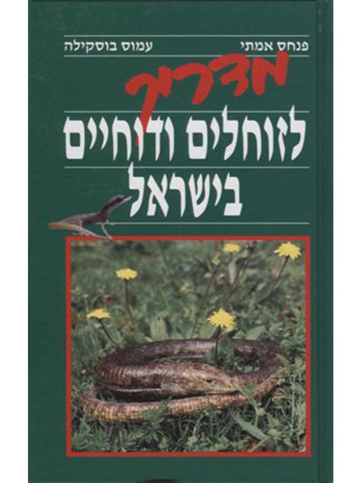 מדריך לזוחלים ודוחיים בישראל