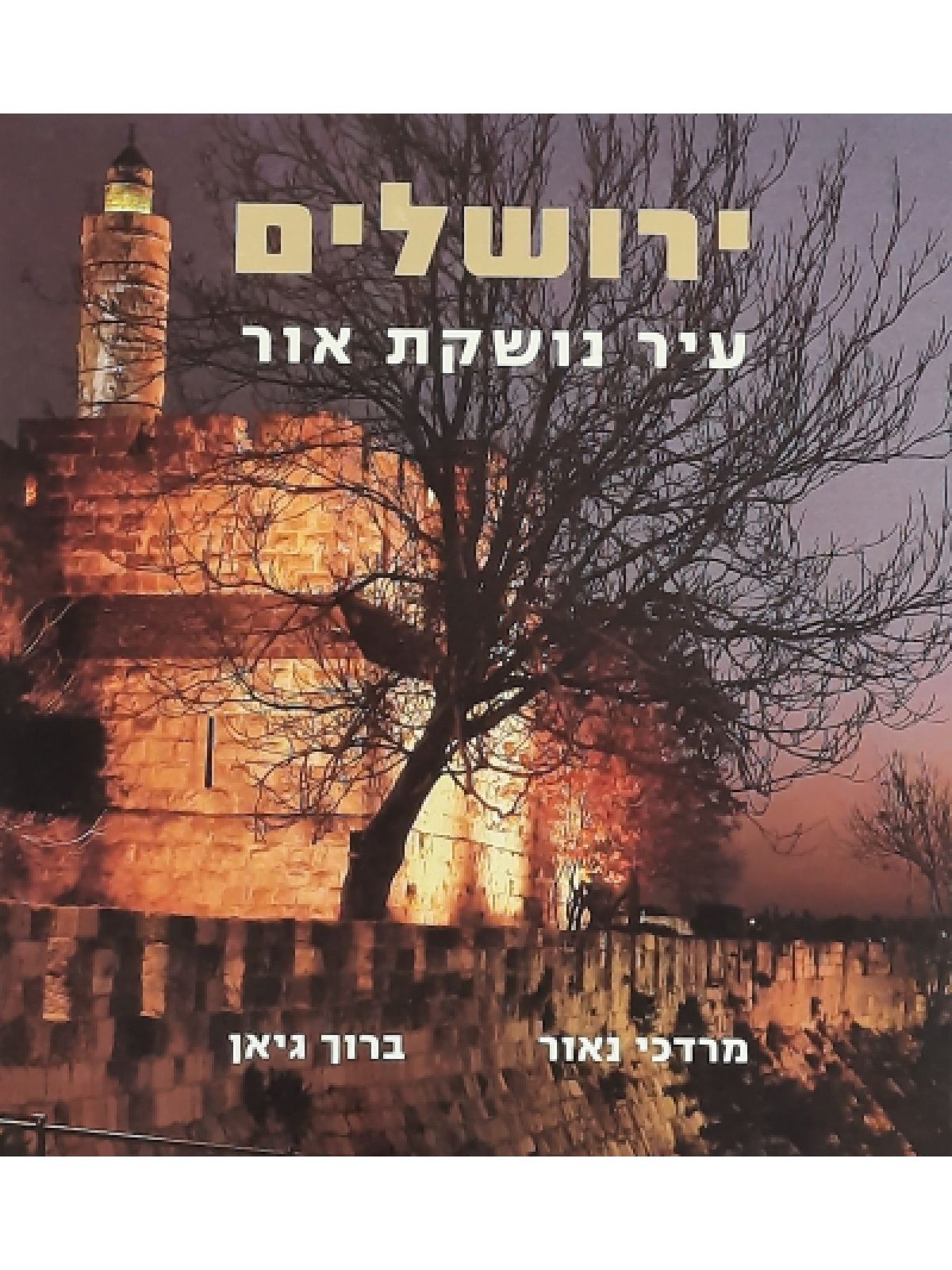 ירושלים עיר נושקת אור