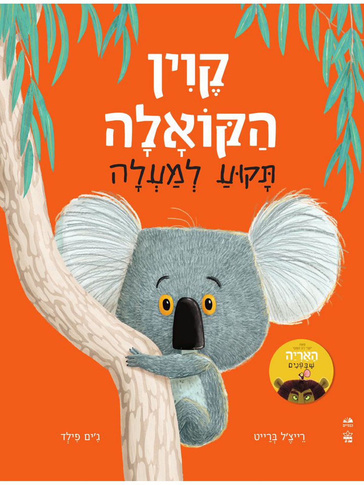 קוין הקואלה תקוע למעלה