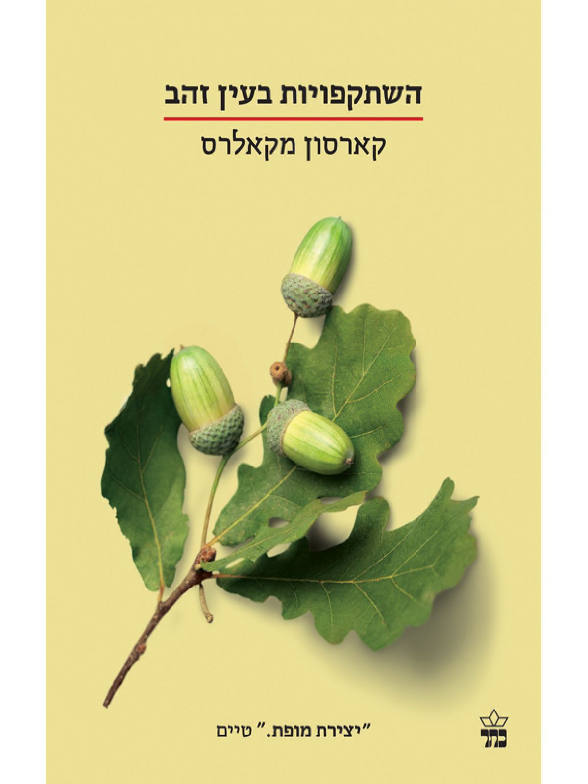 מהדורת אספנות הבחורים של טומן 4 לאהוב את 13