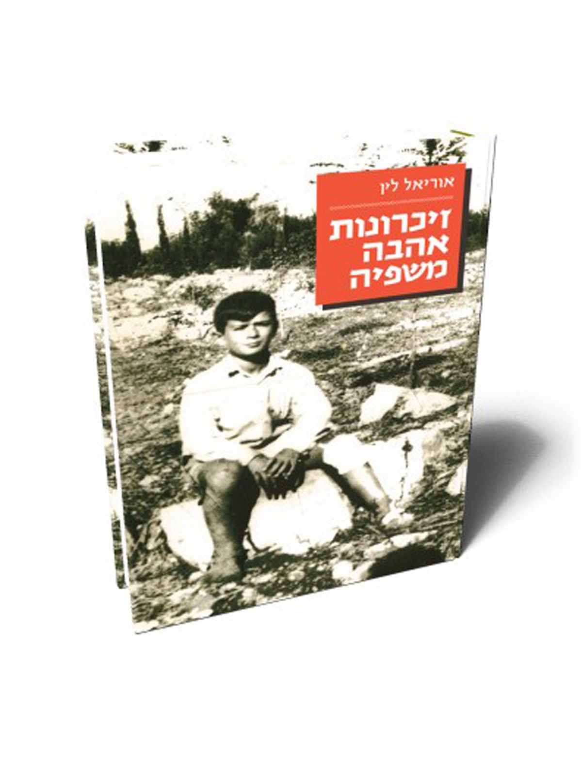זיכרונות אהבה משפיה