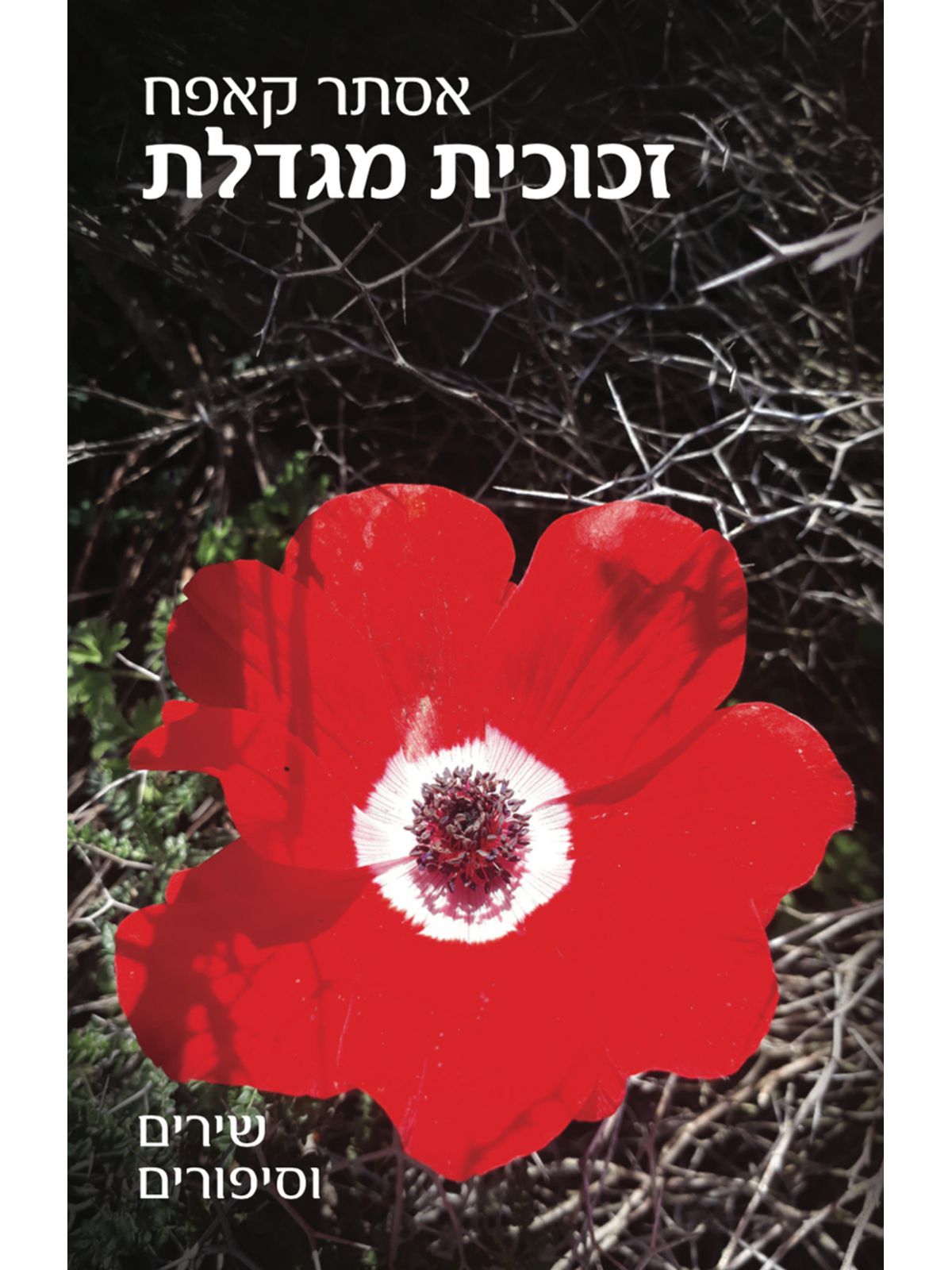 זכוכית מגדלת שירים וסיפורים