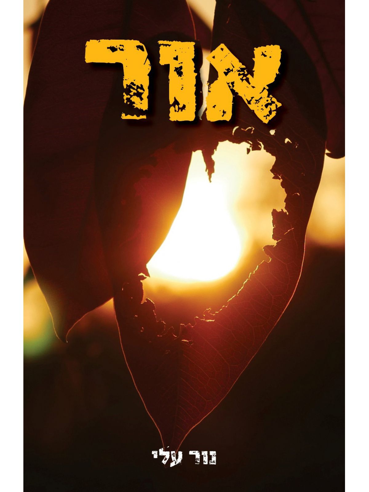 אור\נור עלי