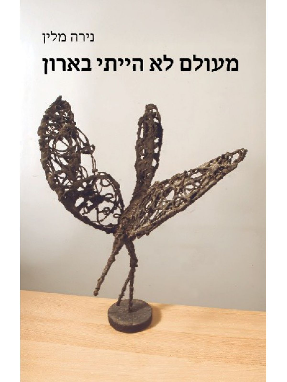 מעולם לא הייתי בארון