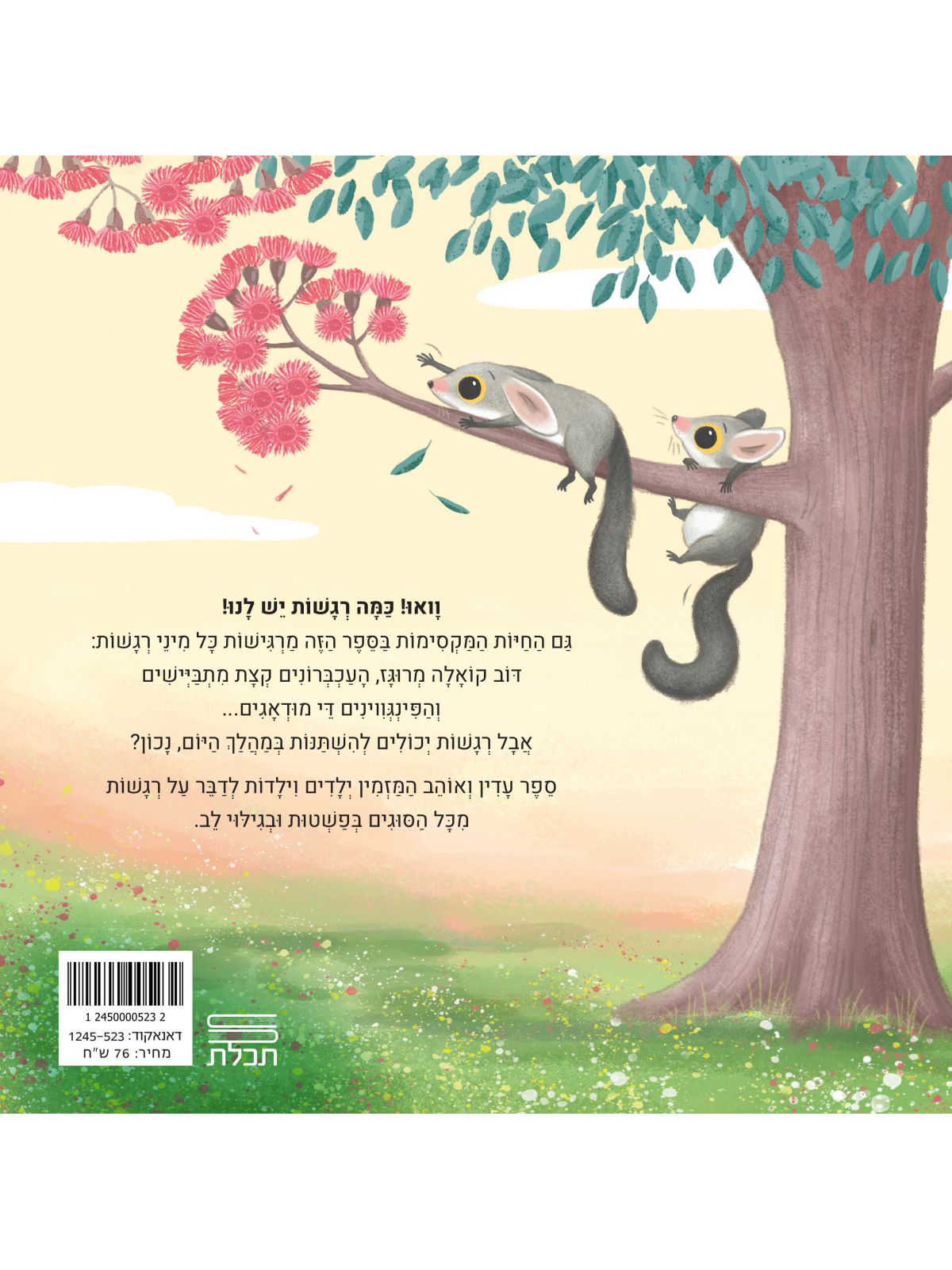 כמה רגשות דפים עבים