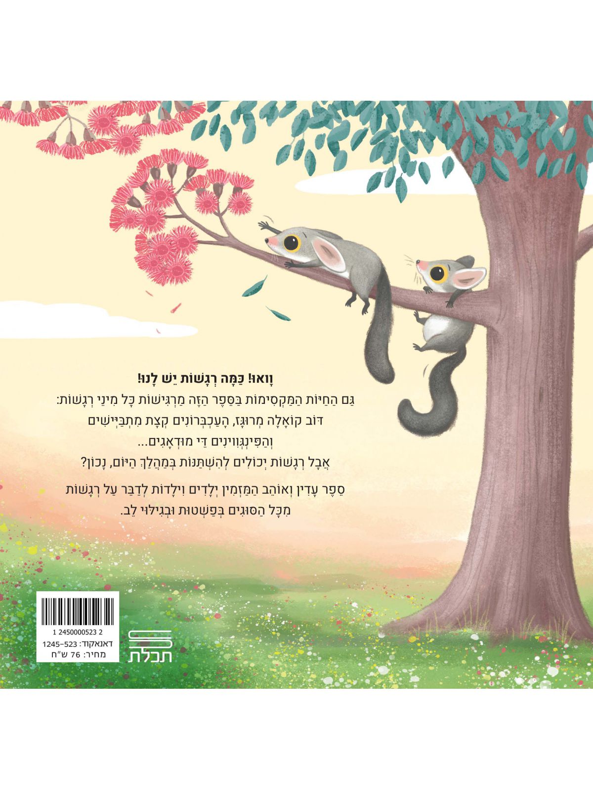 כמה רגשות דפים עבים