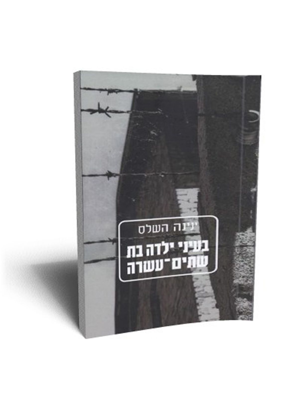 בעיני ילדה בת שתים עשרה