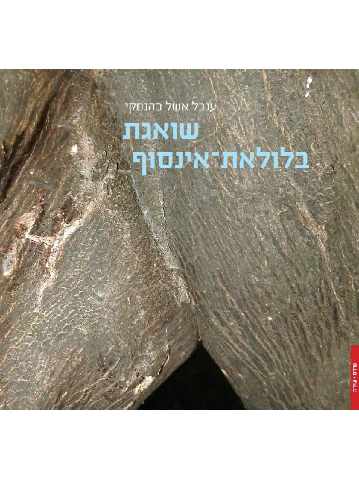 שואגת בלולאת אינסוף