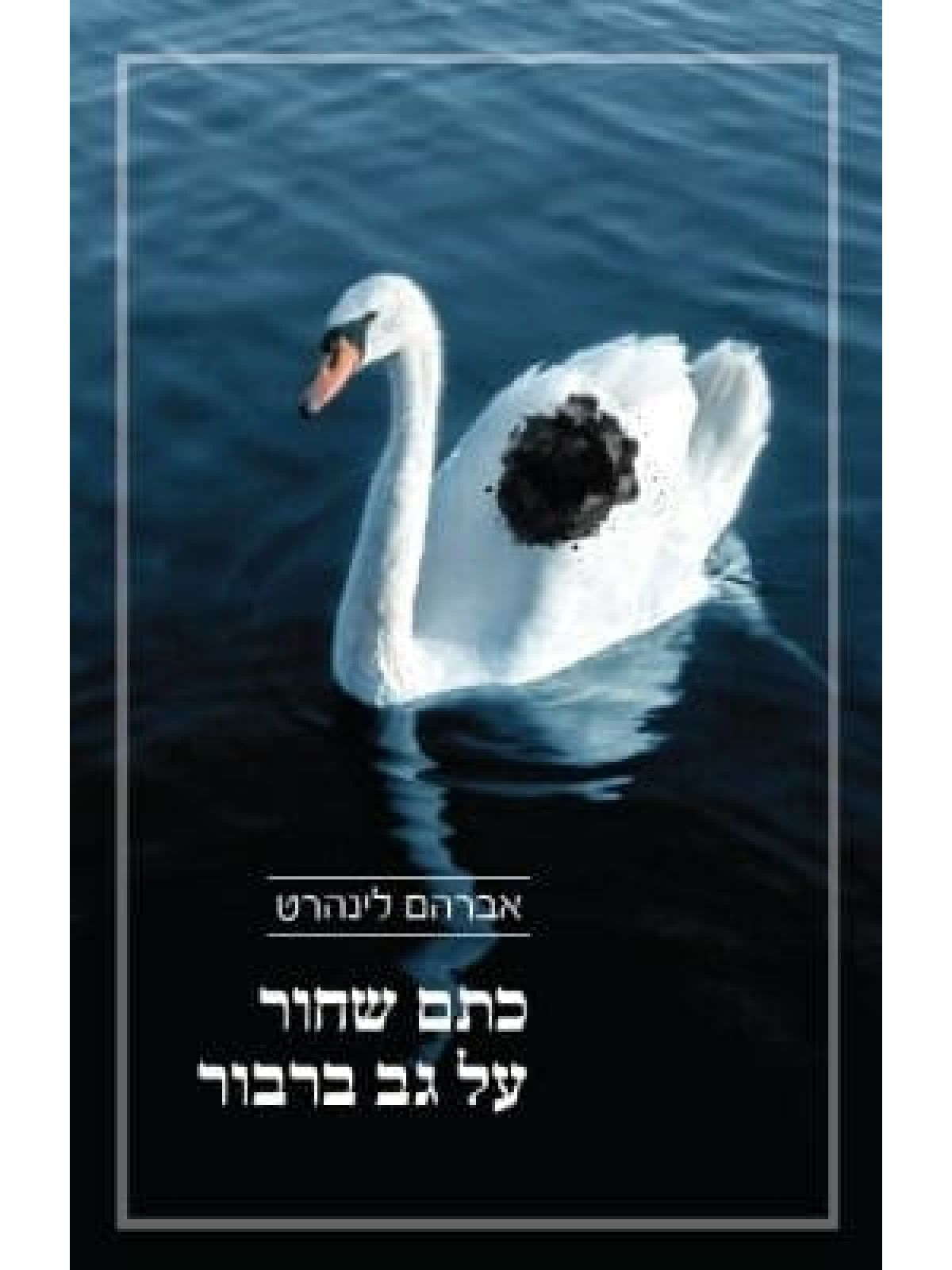 כתם שחור על גב ברבור