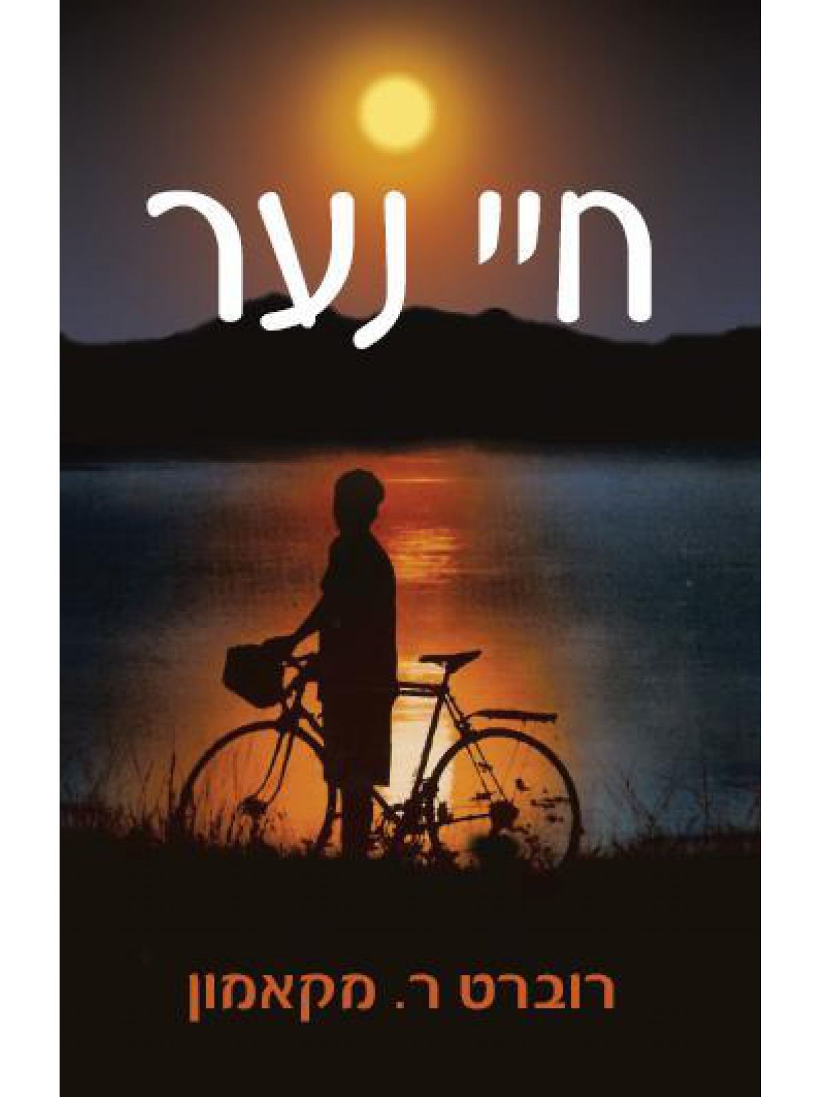חיי נער