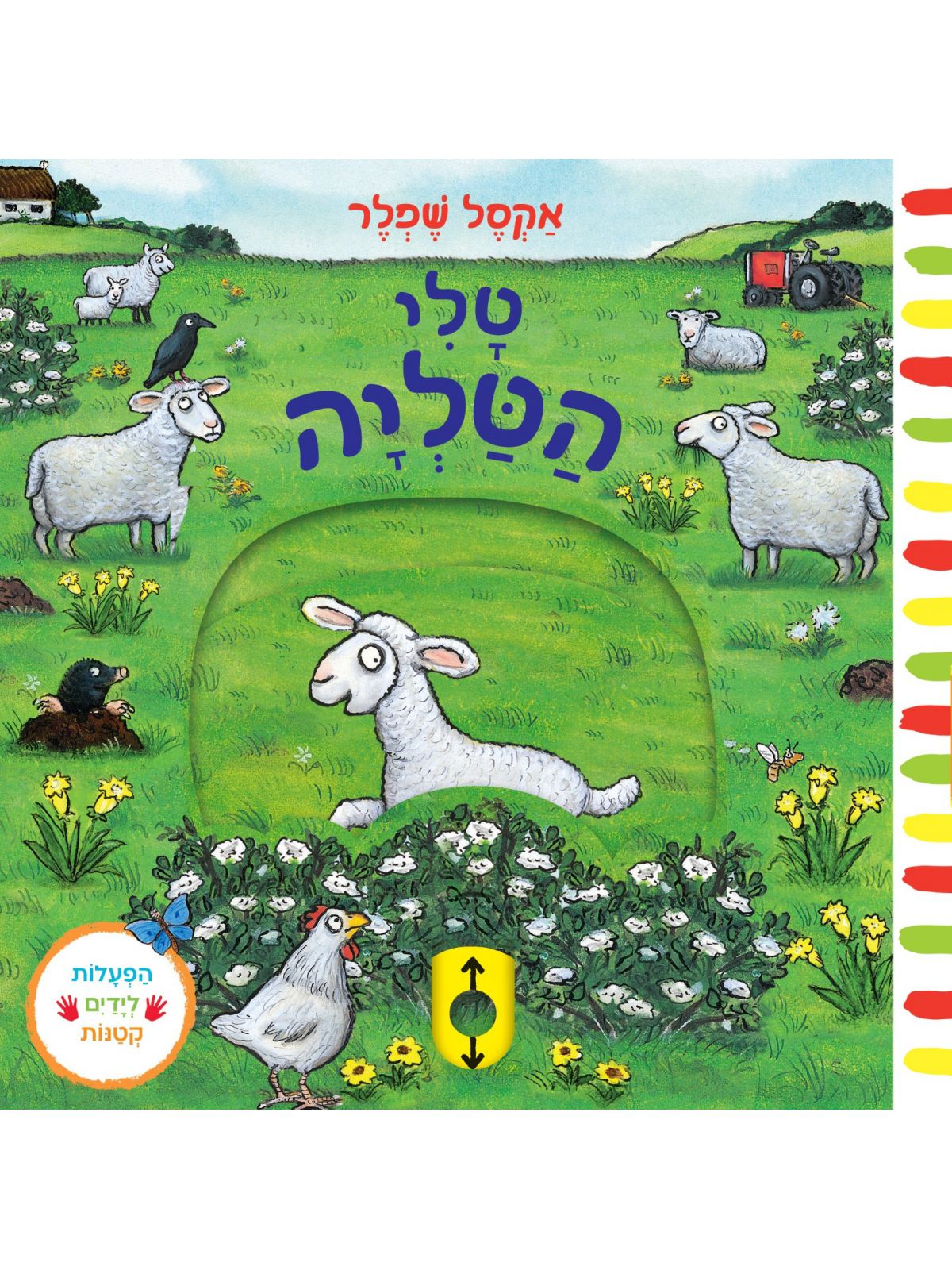 טלי הטליה דפים עבים