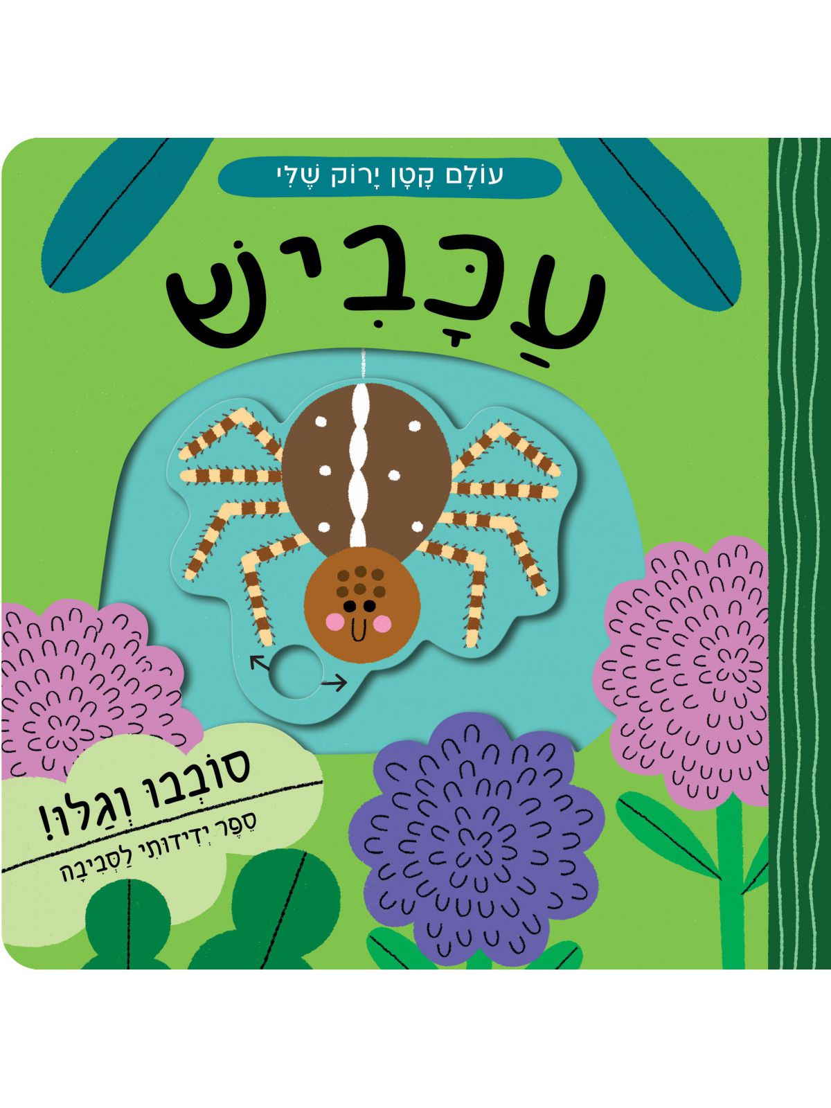 עולם קטן ירוק שלי עכביש
