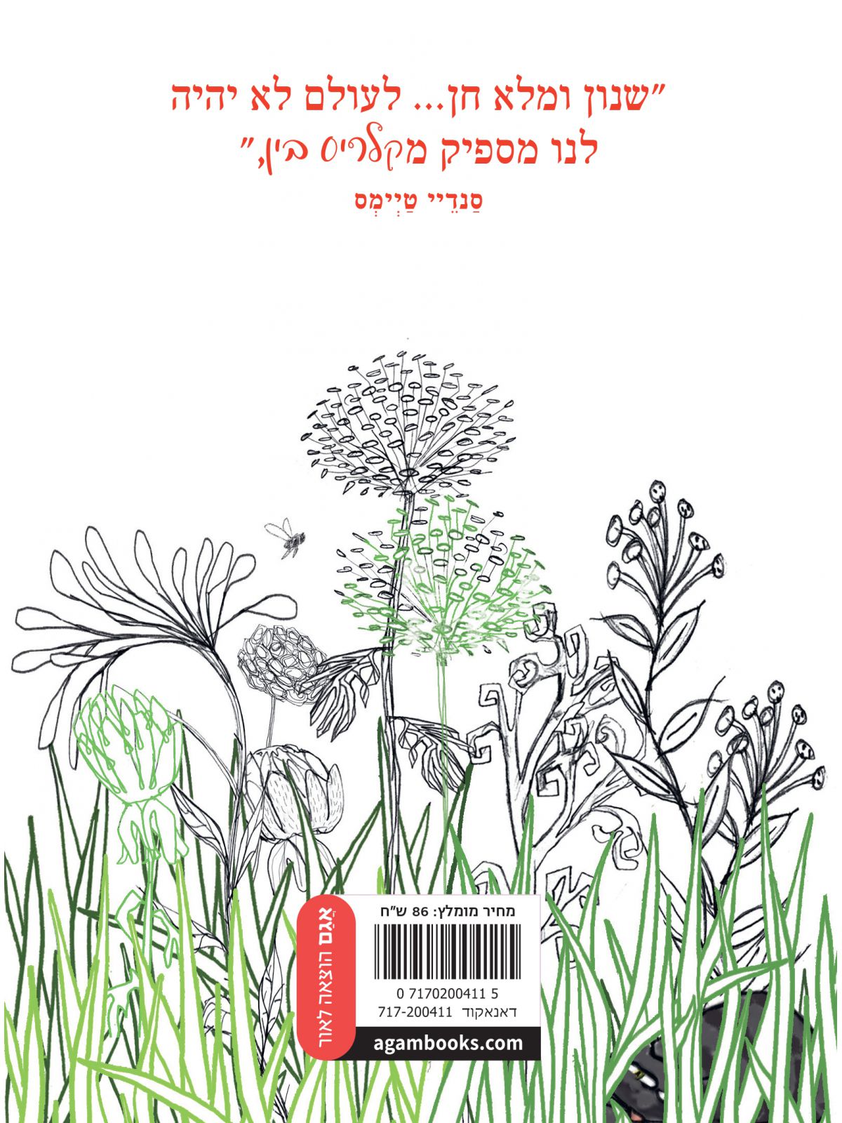 קלריס בין קישטא!