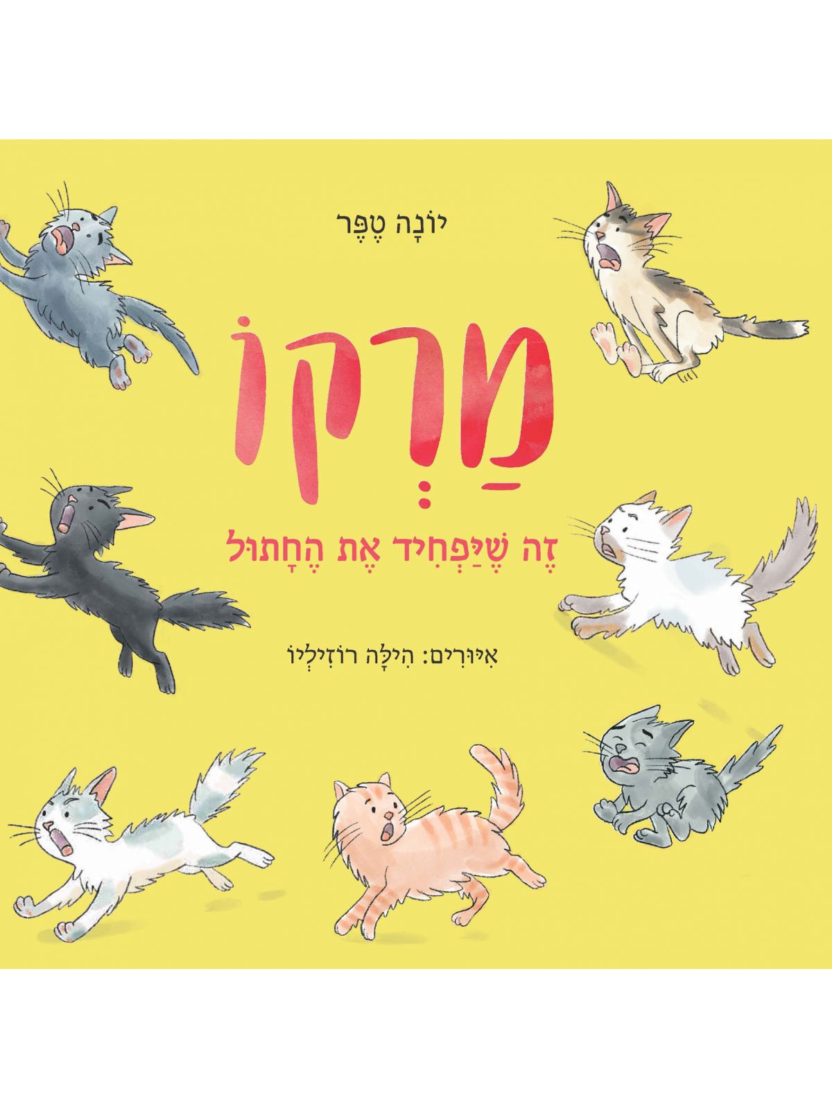 מרקו- זה שיפחיד את החתול