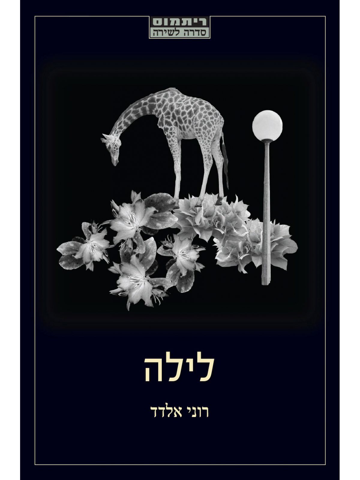 לילה
