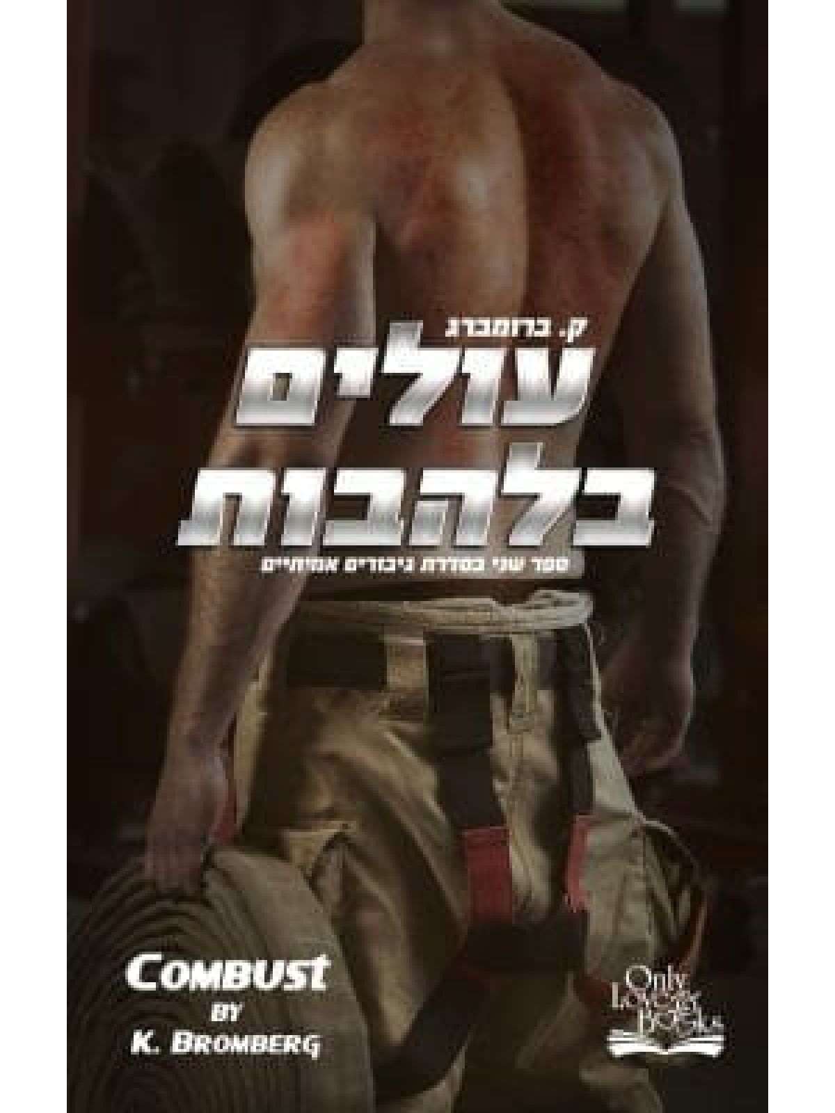 גיבורים אמיתיים 2 עולים בלהבות