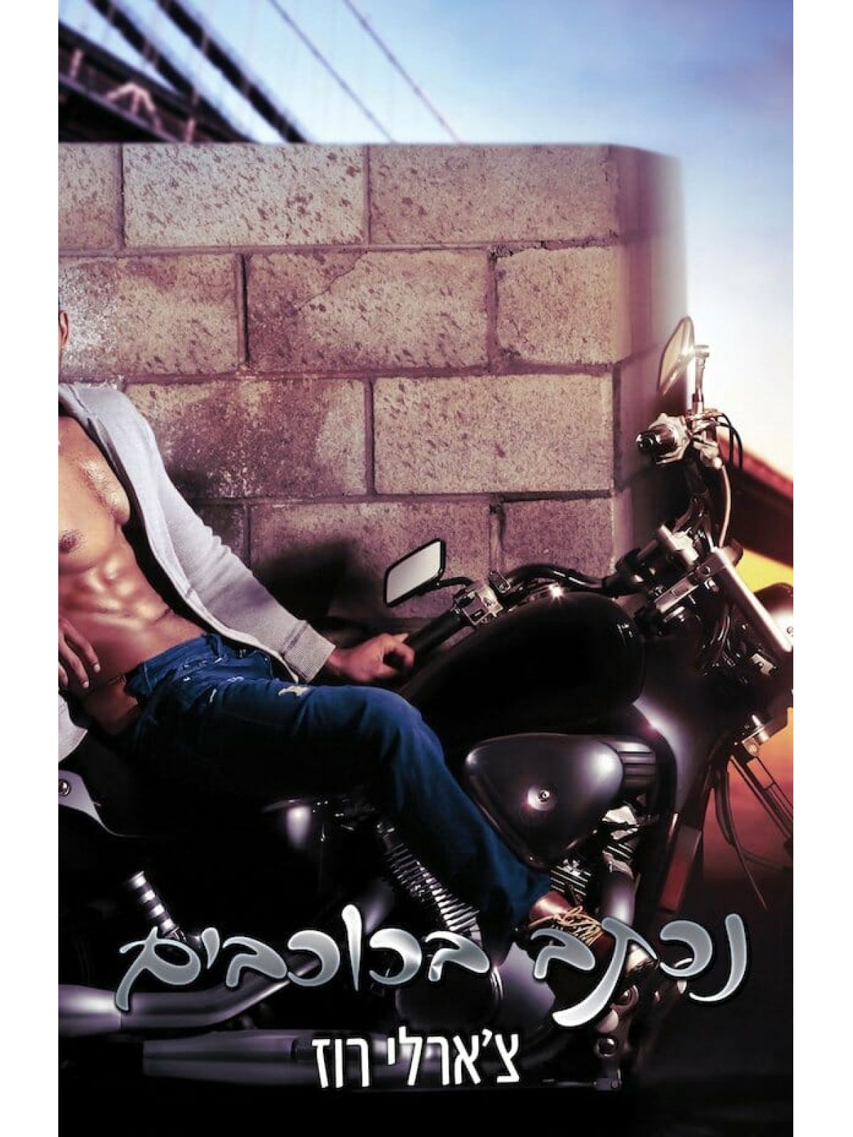 נכתב בכוכבים