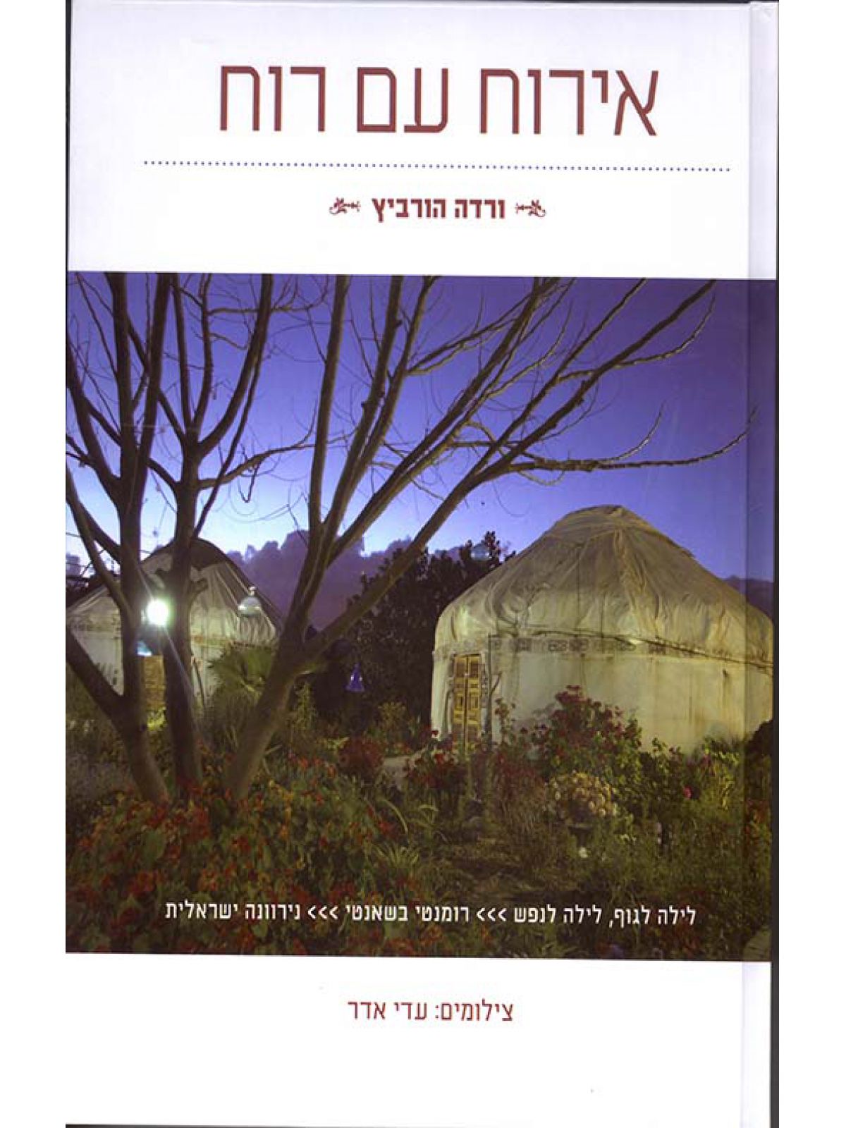 אירוח עם רוח