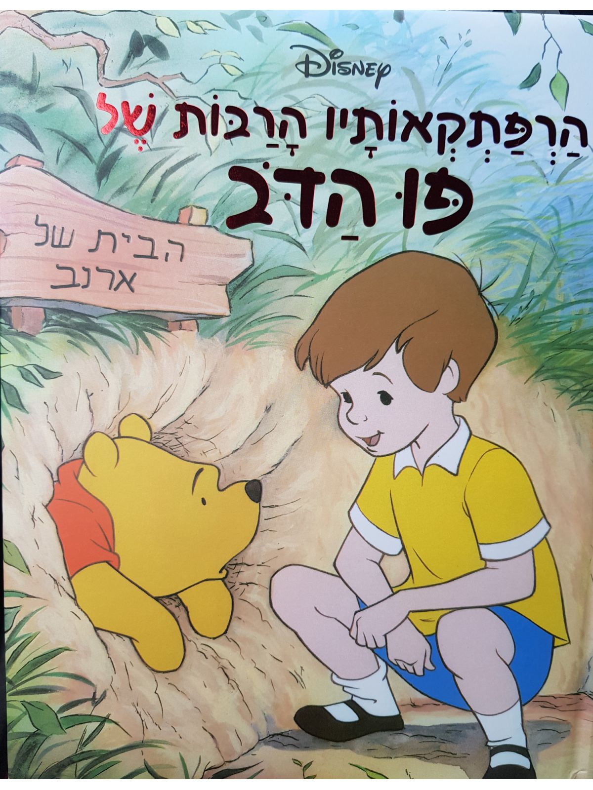 הרפתקאותיו הרבות של פו הדב-גדול