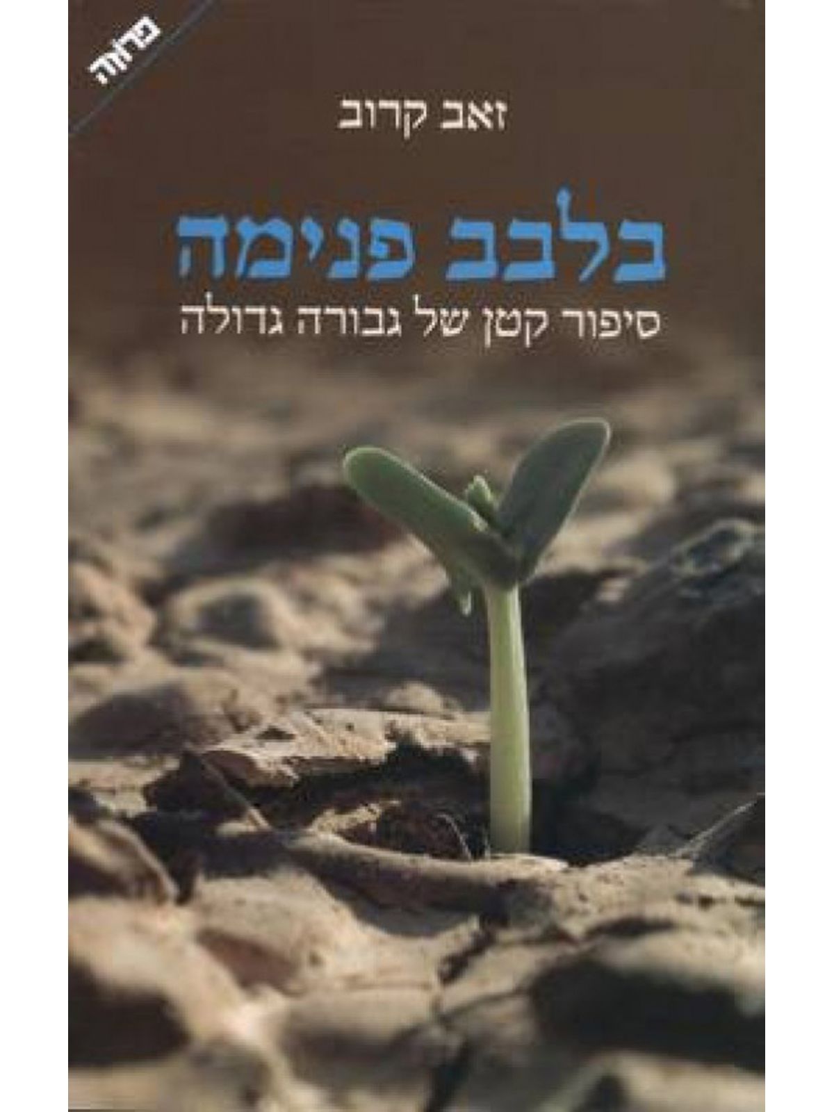 בלבב פנימה