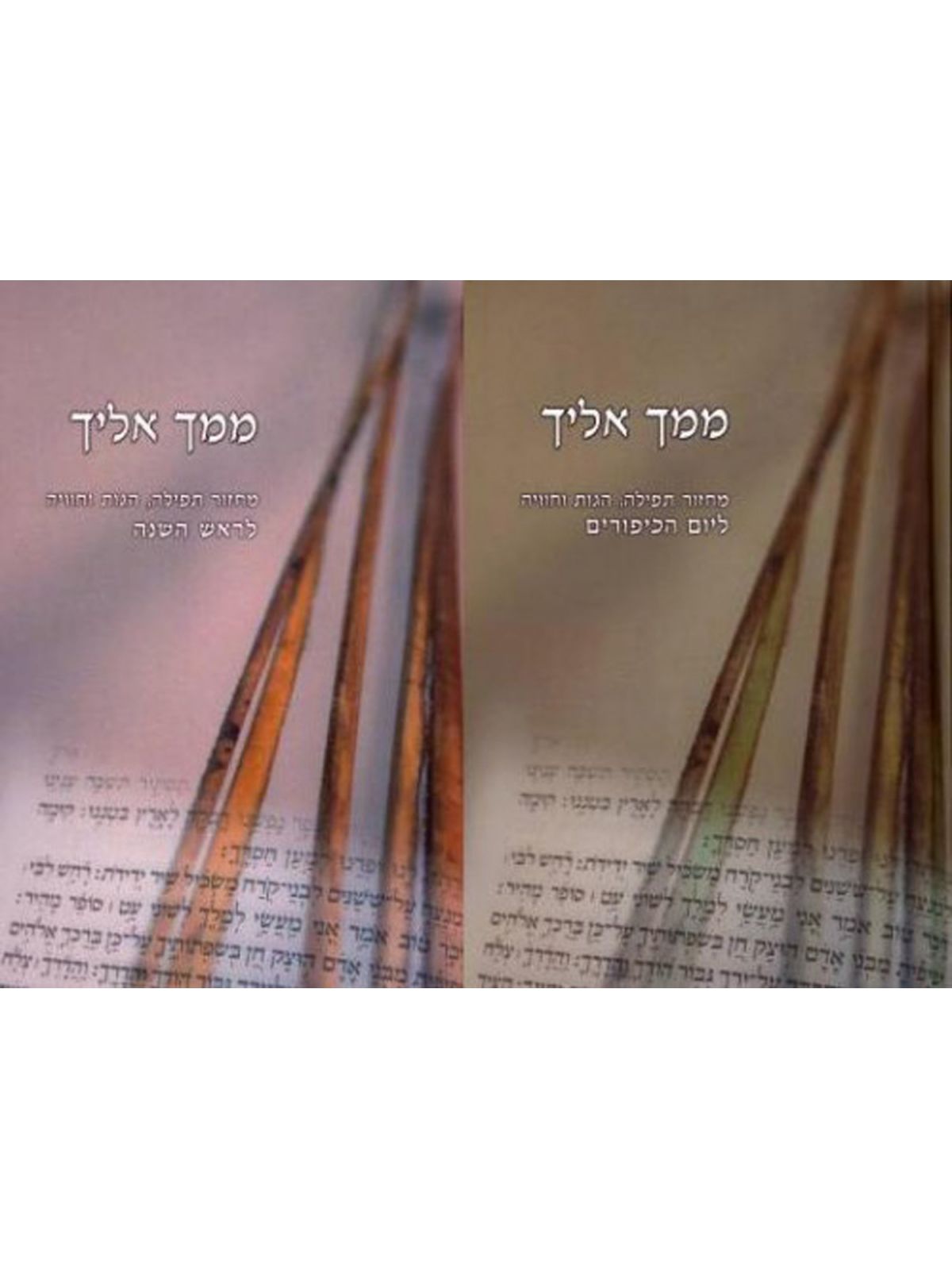 ממך אליך ספר השבת