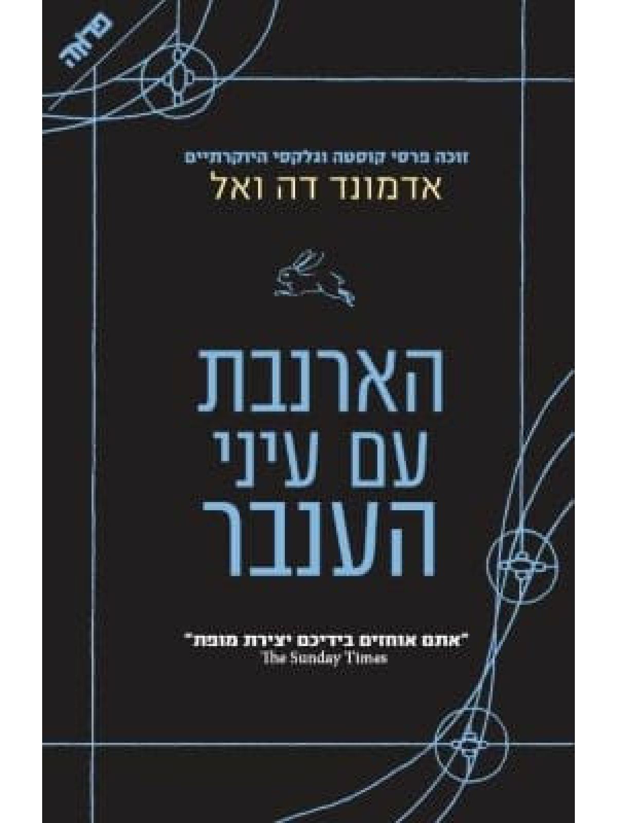 הארנבת עם עיני ענבר