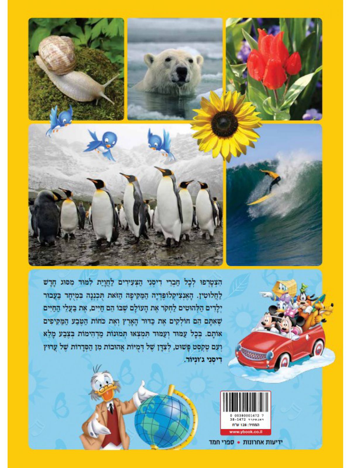 העולם שלי 289 עבדות מרתקות על העולם