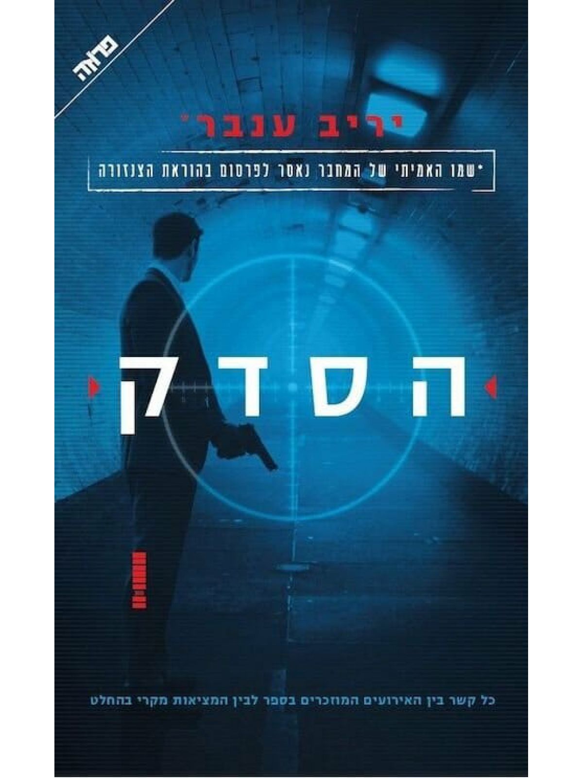 הסדק / יריב ענבר