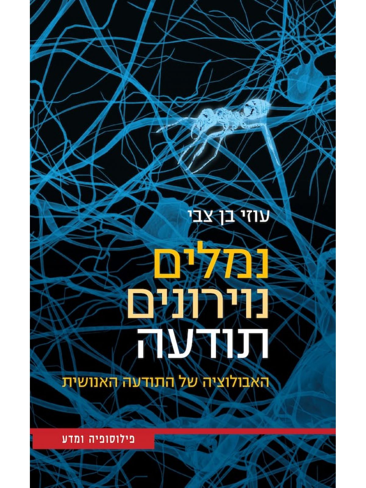 נמלים נוירונים ותודעה