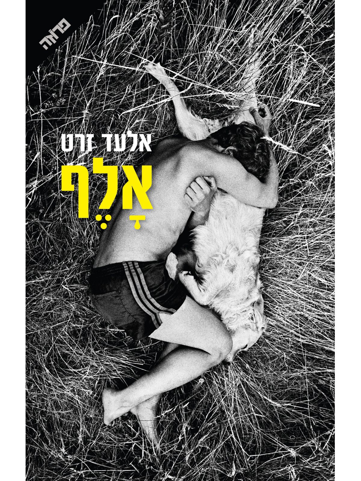 אלף