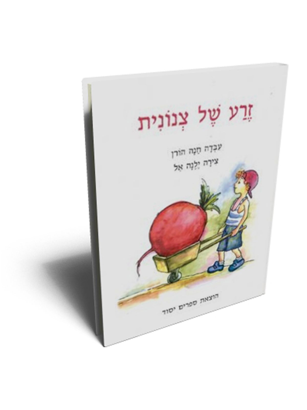 זרע של צנונית דפים עבים