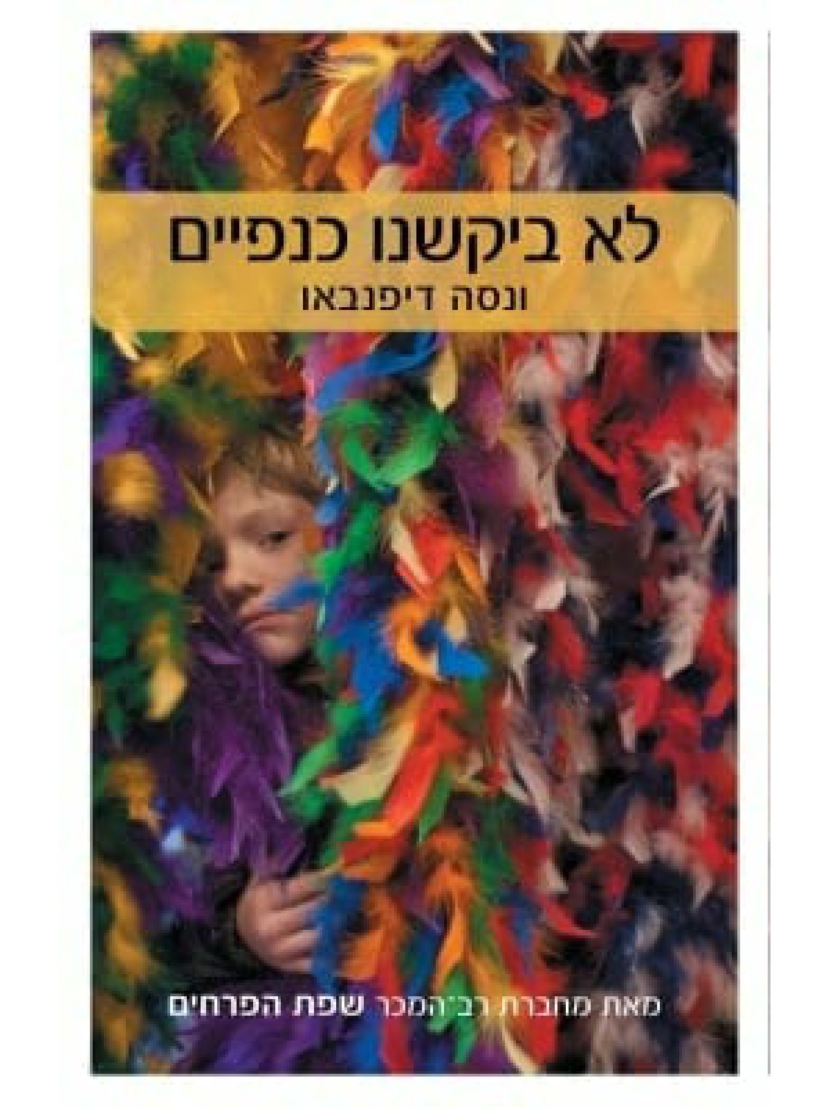 לא ביקשנו כנפיים