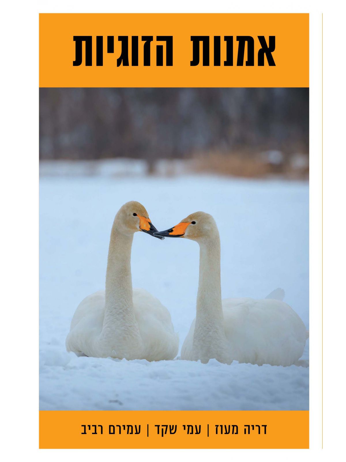 אמנות הזוגיות