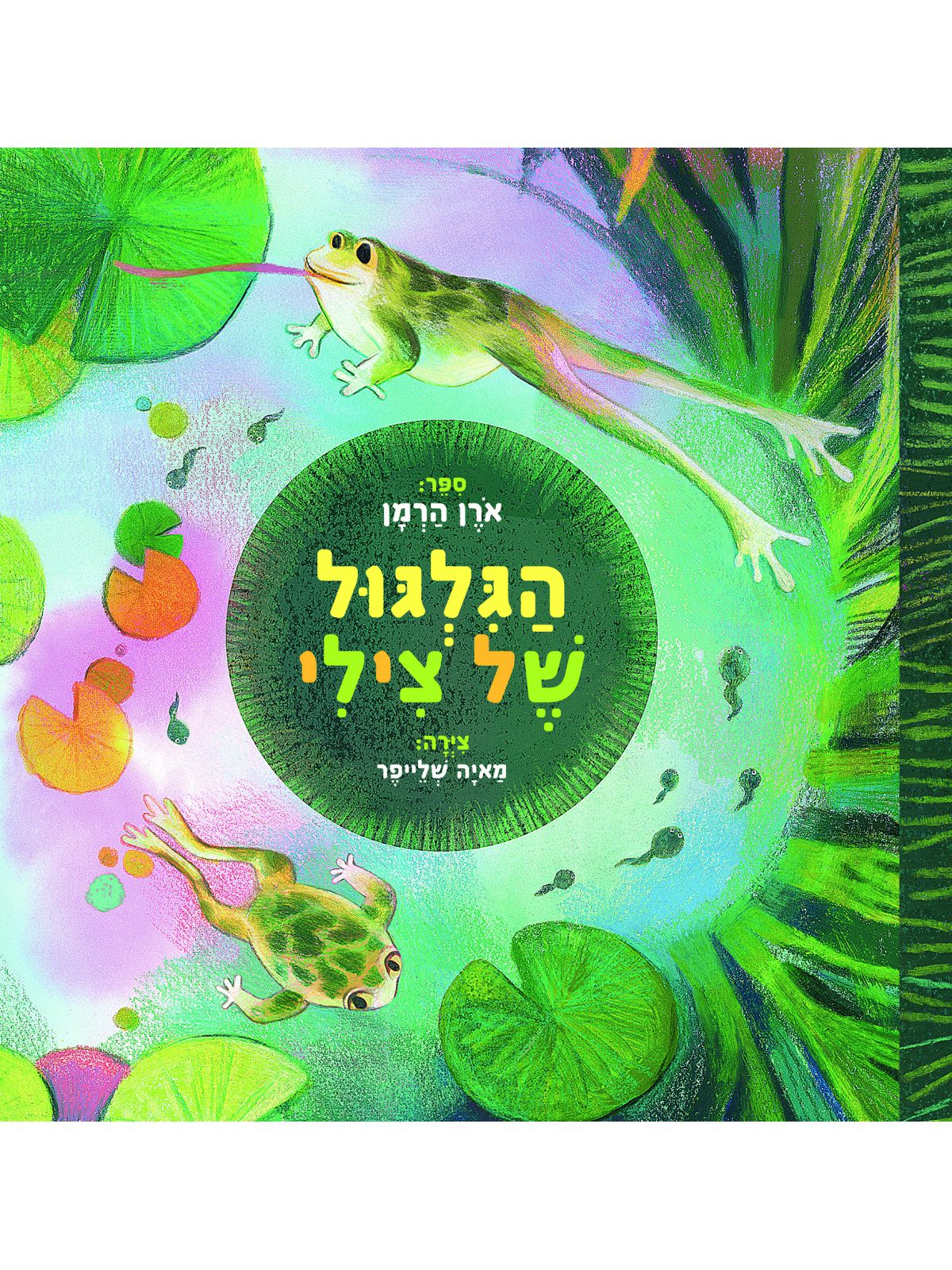 הגלגול של צילי