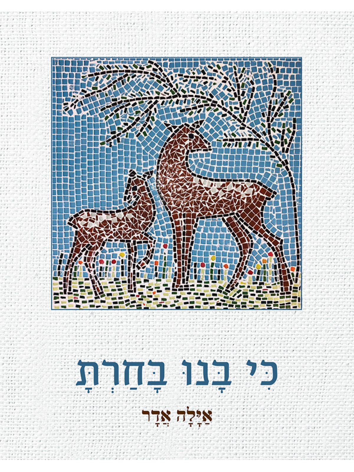 כי בנו בחרת