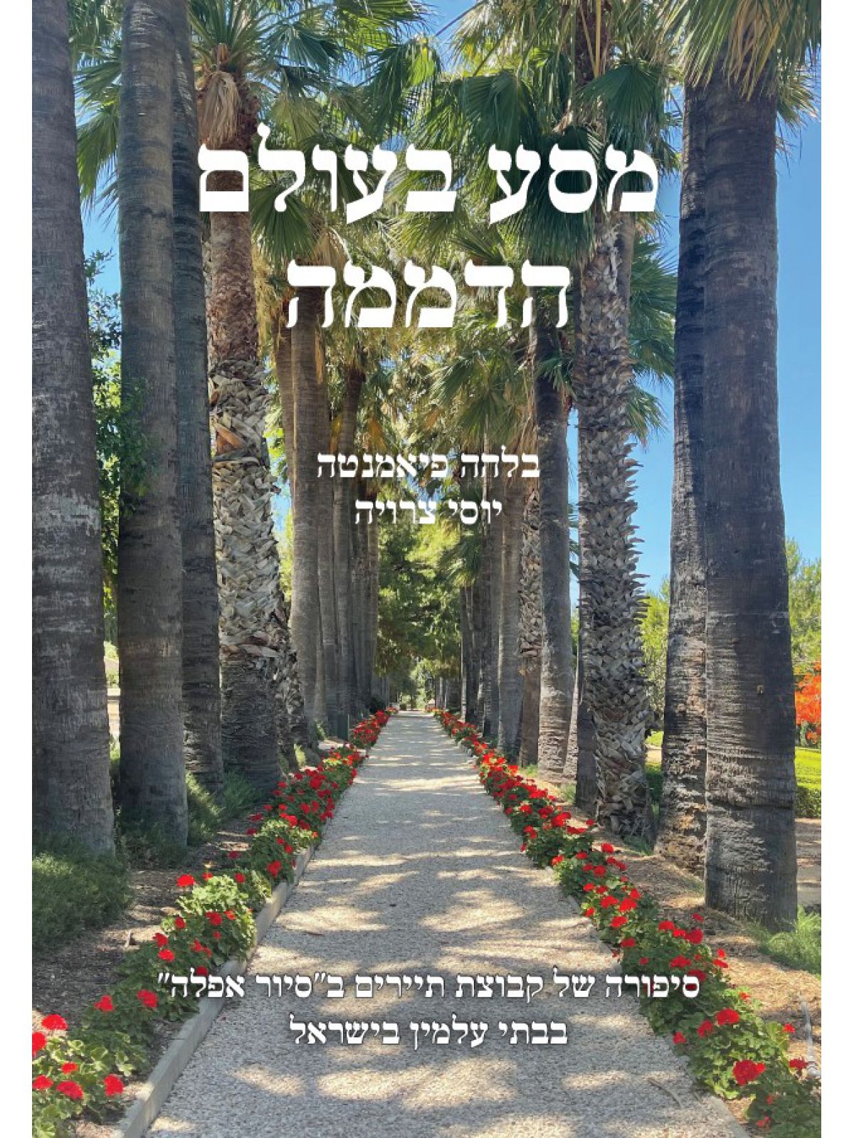 מסע בעולם הדממה