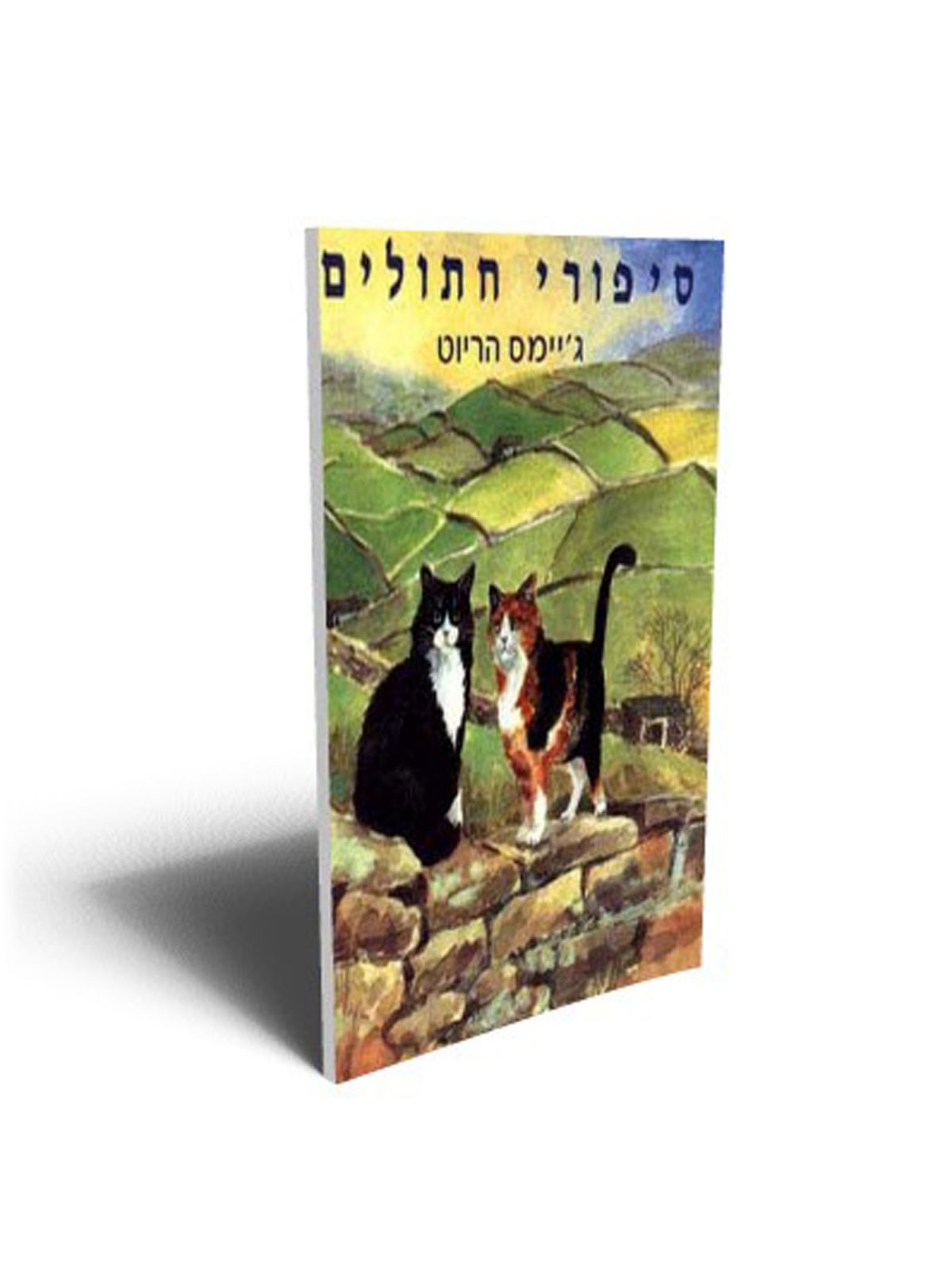 סיפורי חתולים