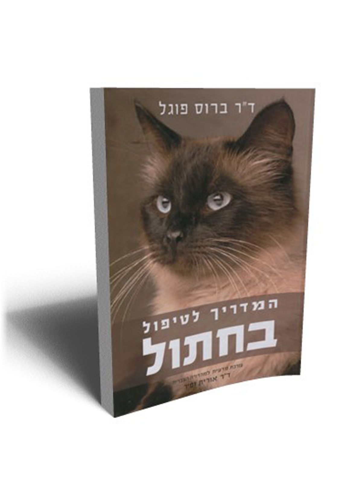 המדריך לטיפול בחתול