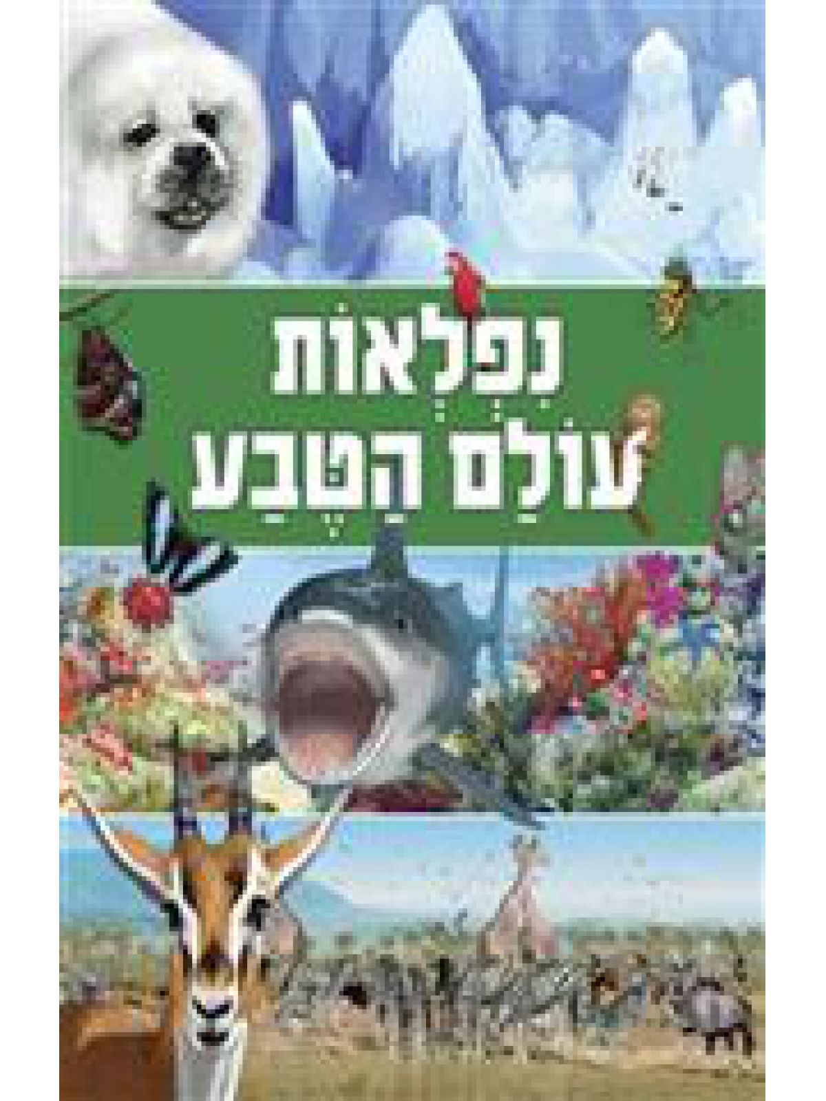 נפלאות עולם הטבע