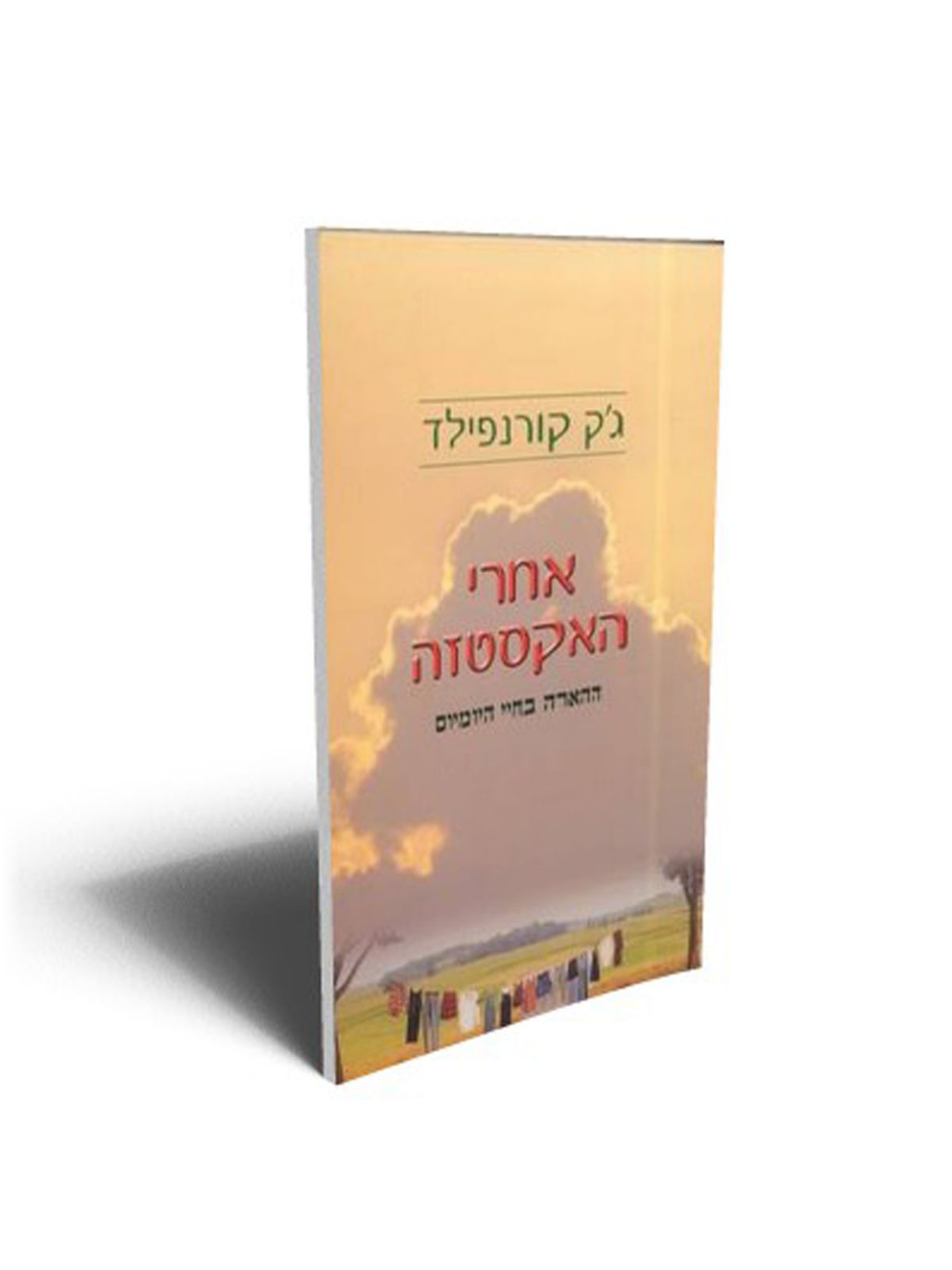 אחרי האקסטזה