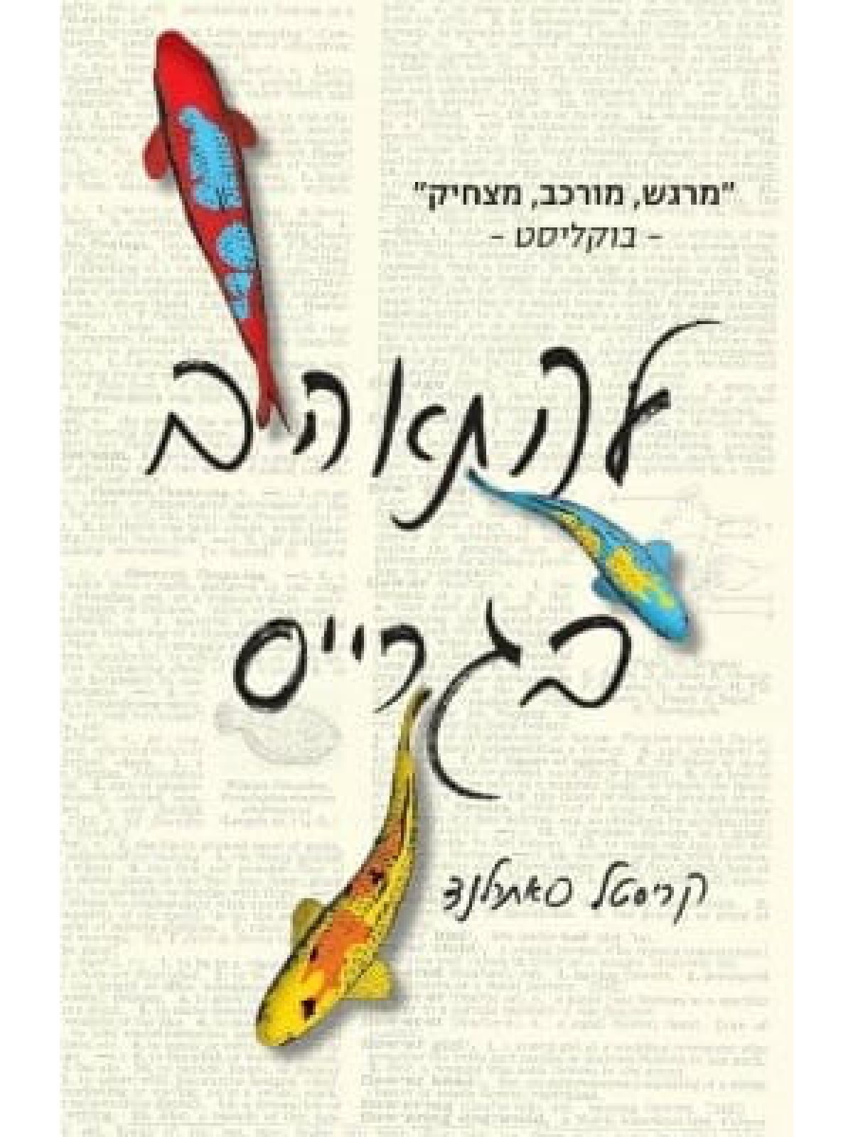 להתאהב בגרייס