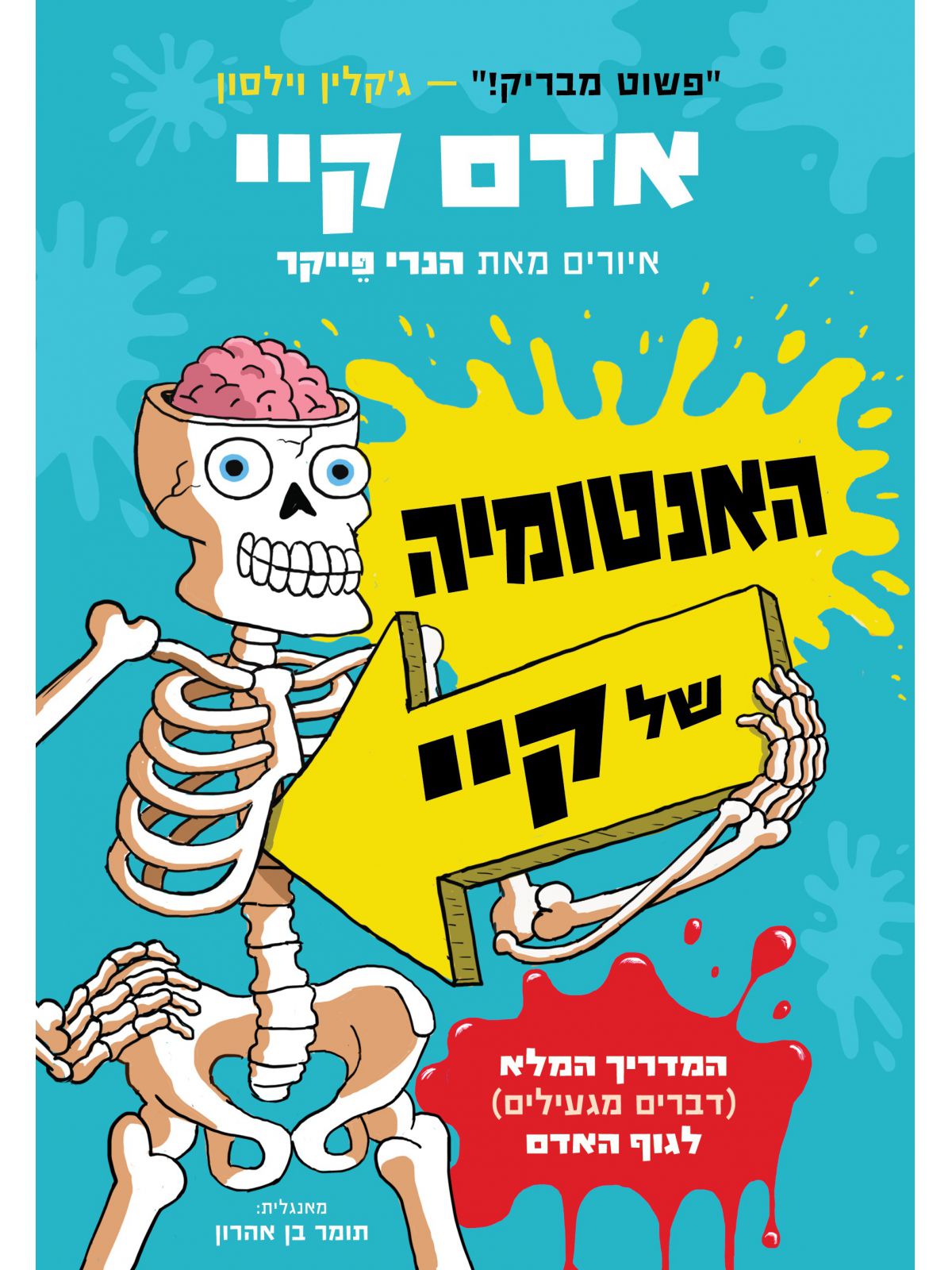 האנטומיה של קיי