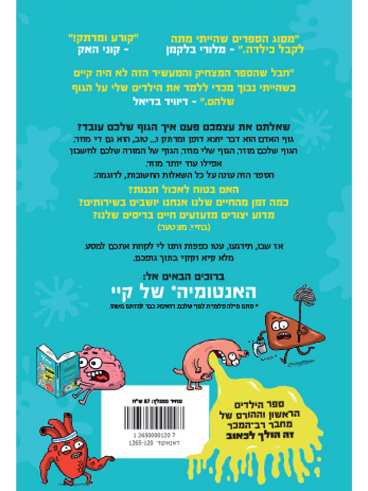 האנטומיה של קיי