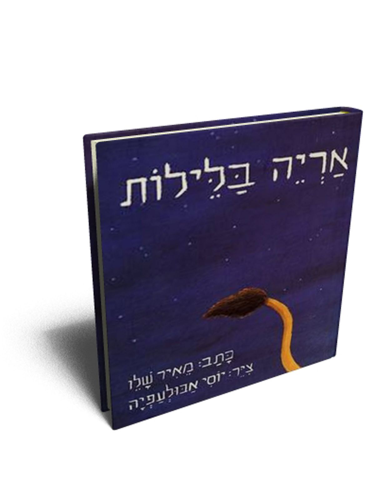 אריה בלילות