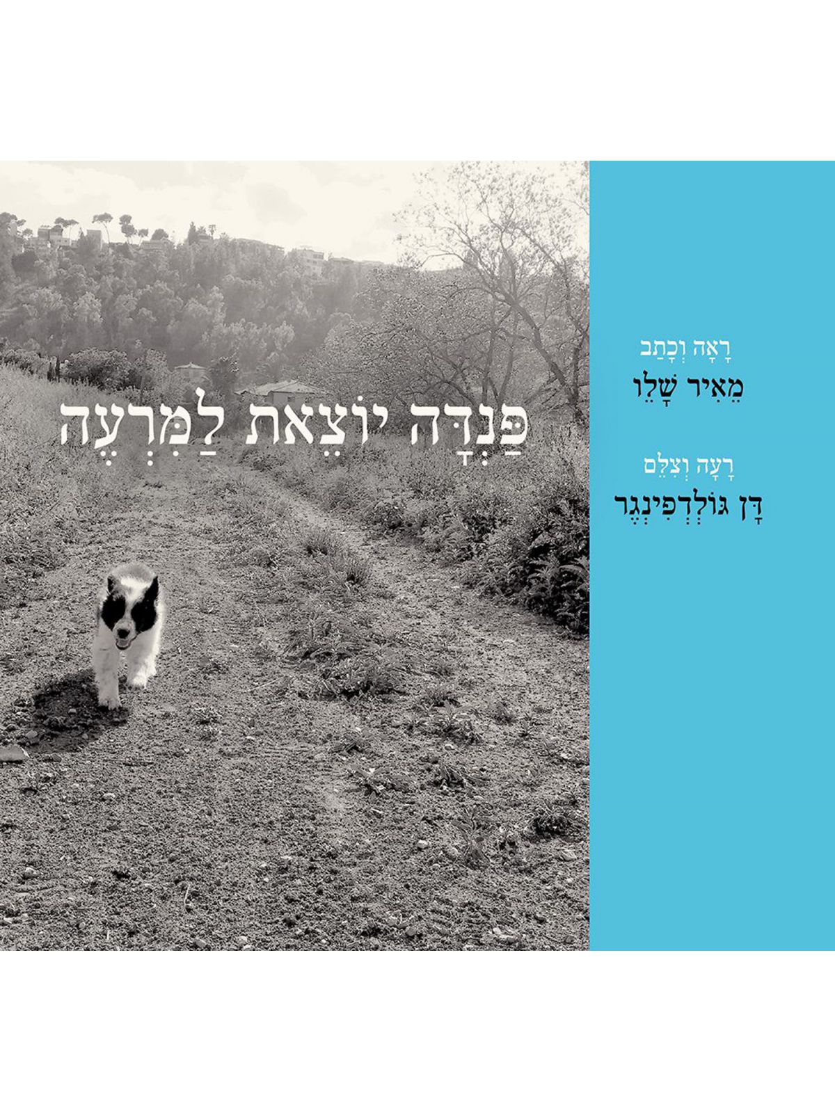 פנדה יוצאת למרעה