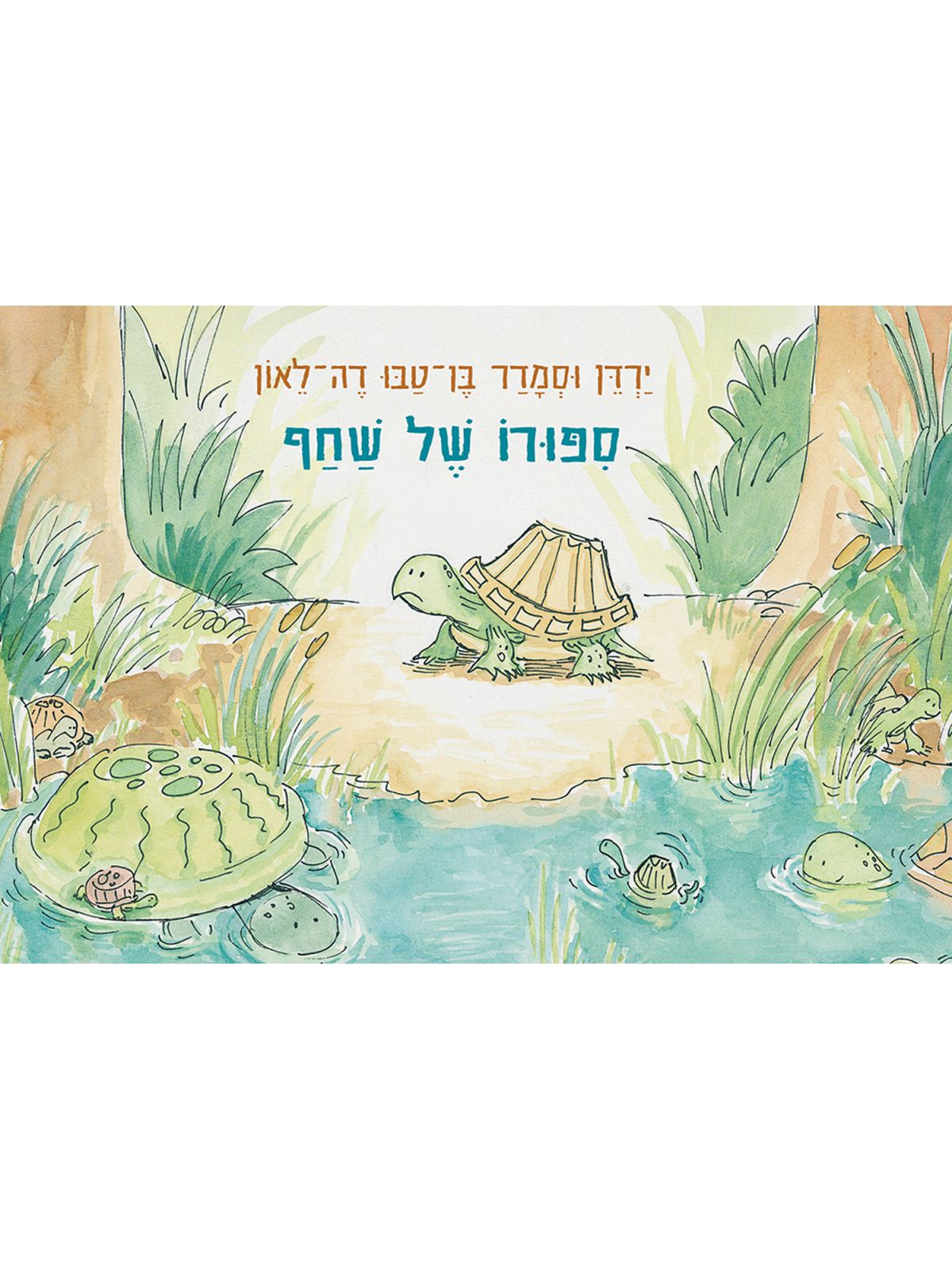 ספורו של שחף