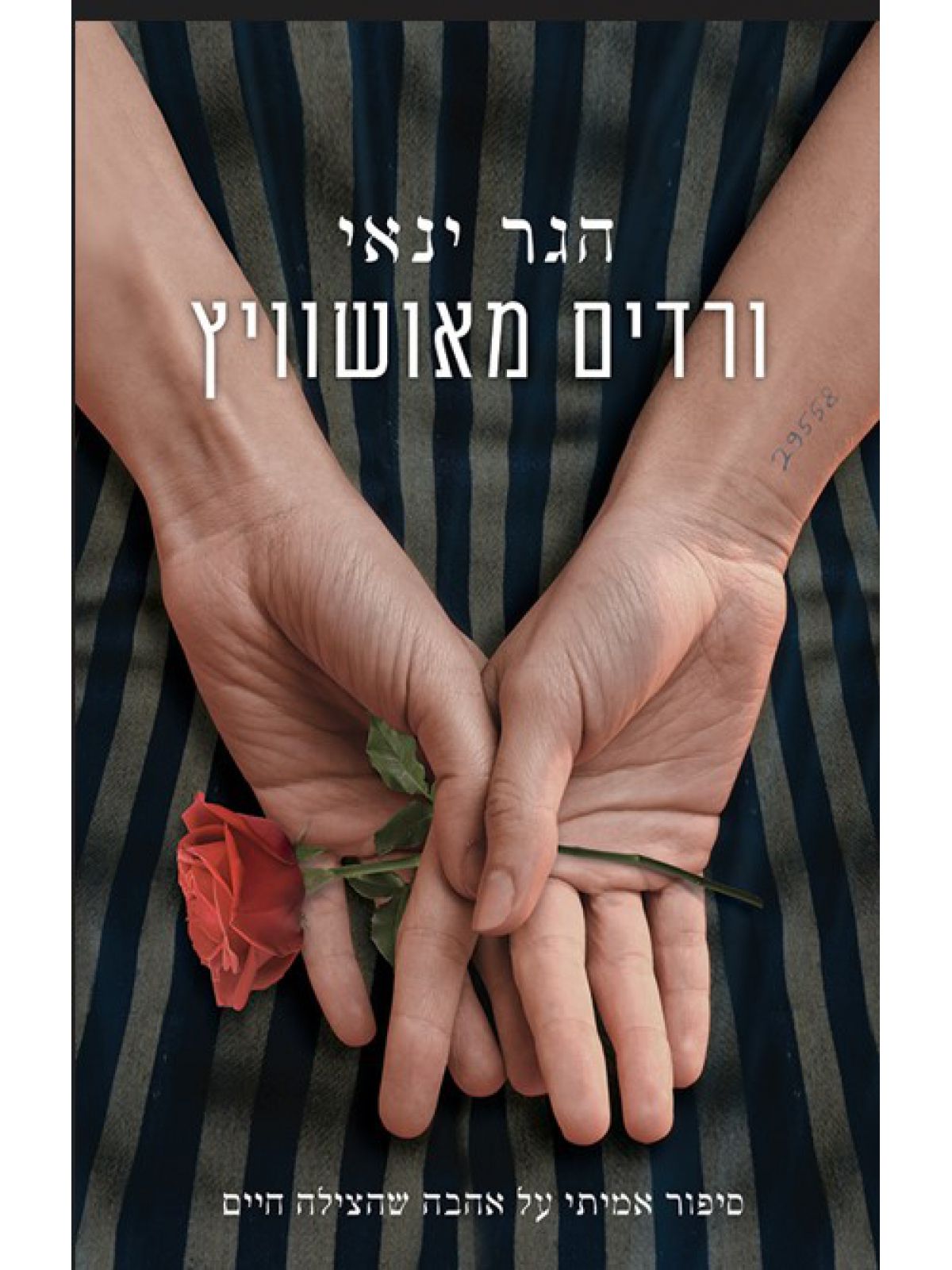 ורדים מאושוויץ
