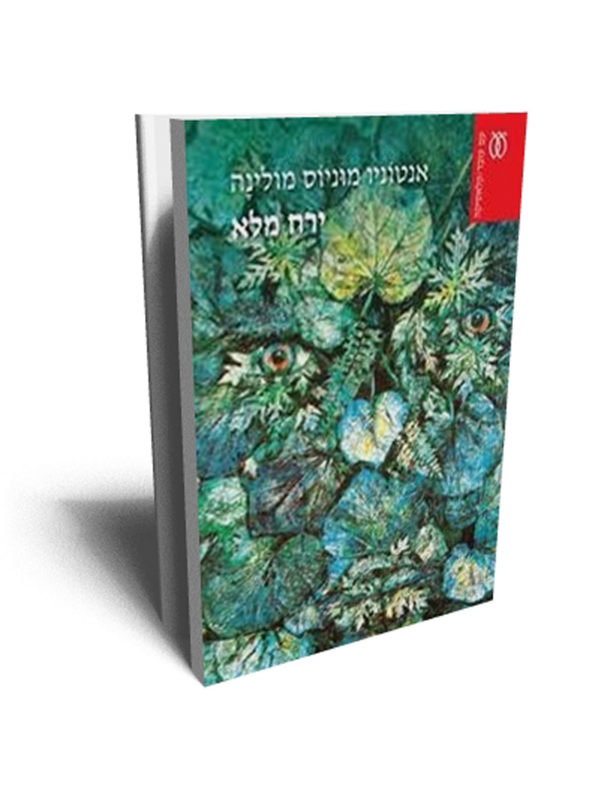 ירח מלא מהד’ חדשה