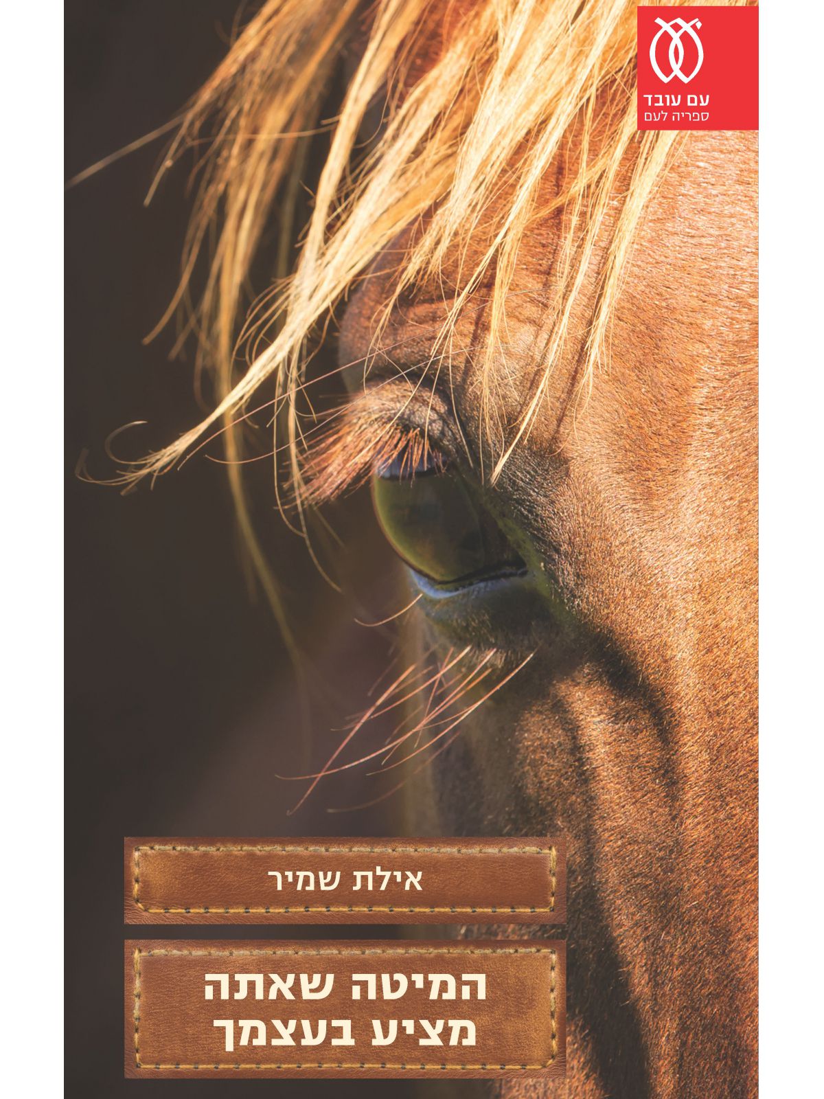 המיטה שאתה מציע בעצמך